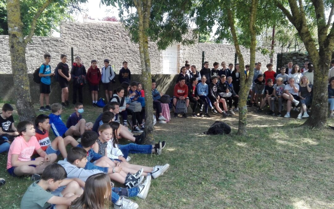 Les 5èmes du collège Saint Louis ont participé au concours Kangourou !