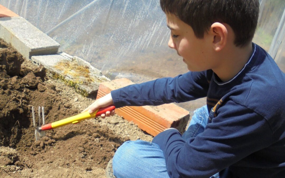 Des nouvelles de l’atelier Jardinage